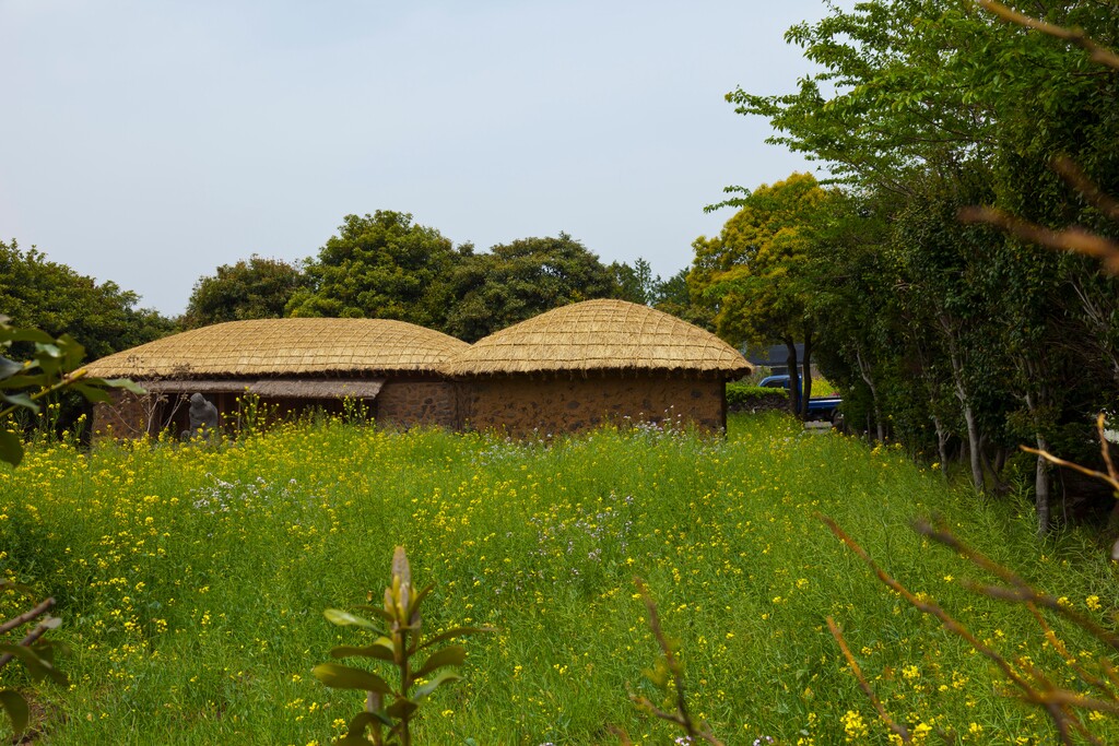 韩国济州岛城邑民俗村图片