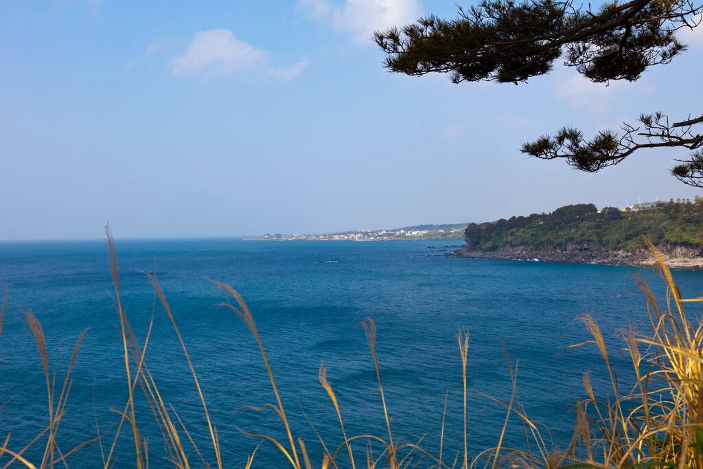 韩国济州岛独立岩图片