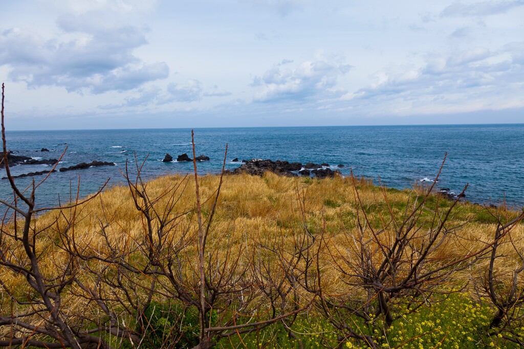 韩国济州岛海边图片