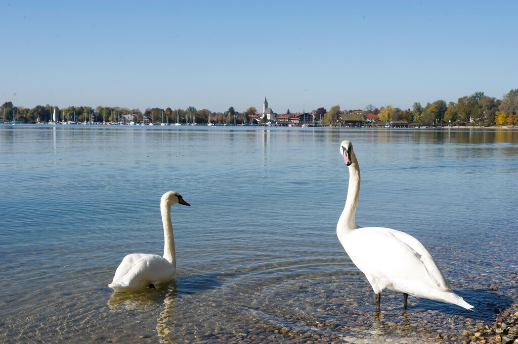 德国慕尼黑周边基姆湖(Chiemsee)图片