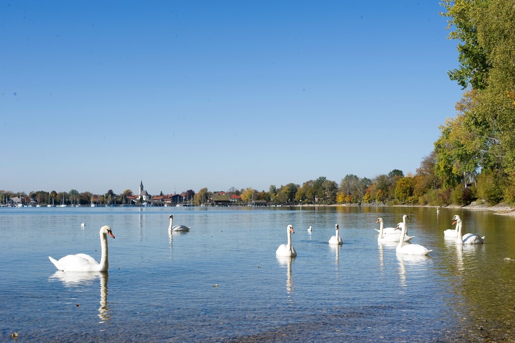 德国慕尼黑周边基姆湖(Chiemsee)图片