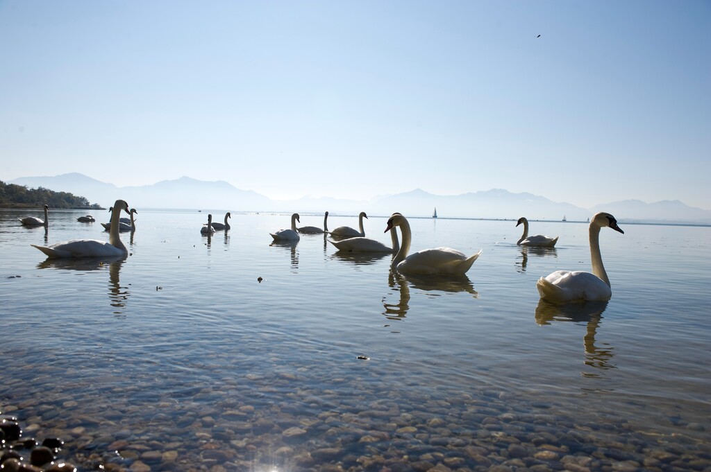 德国慕尼黑周边基姆湖(Chiemsee)图片