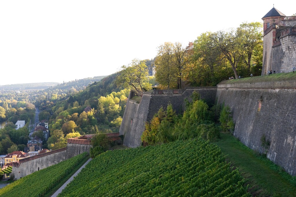 德国维尔茨堡玛丽恩贝格要塞(Festung   Marienberg)图片