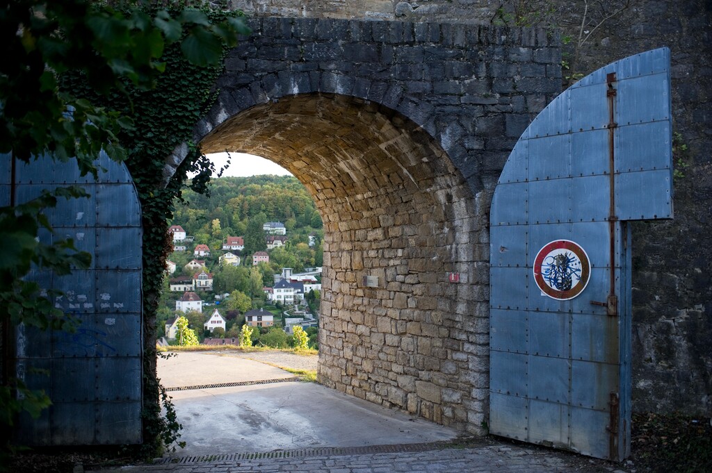 德国维尔茨堡玛丽恩贝格要塞(Festung   Marienberg)图片