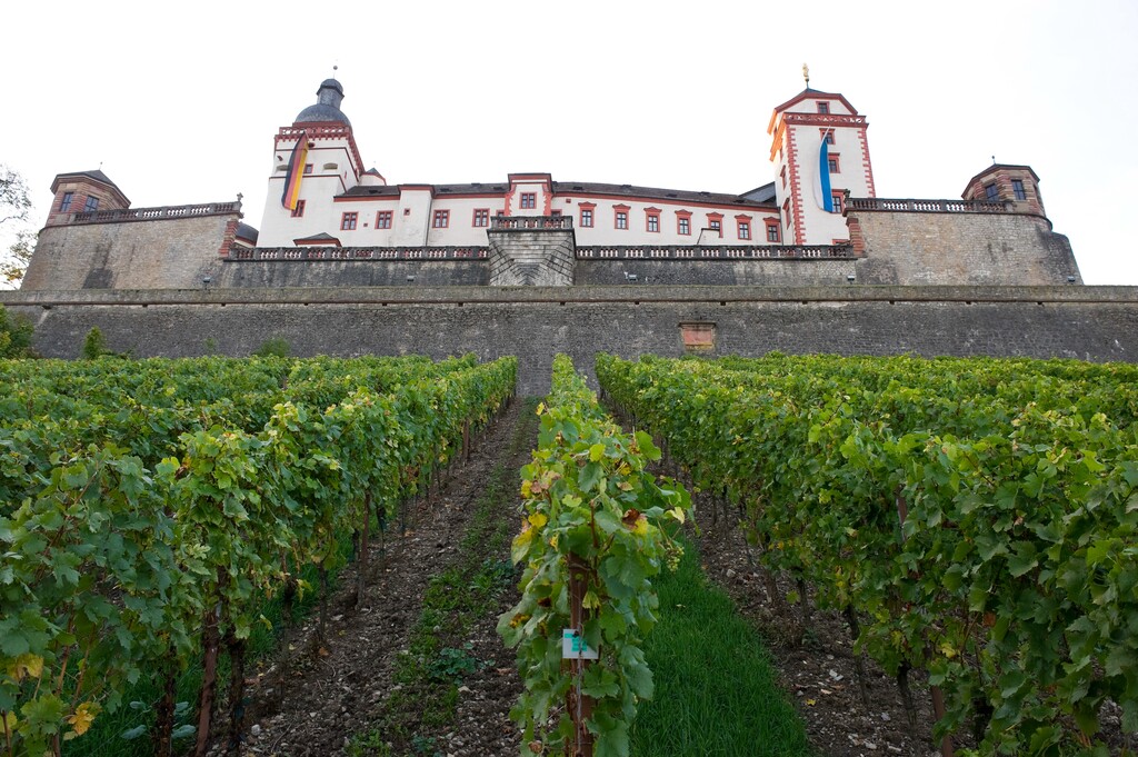 德国维尔茨堡玛丽恩贝格要塞(Festung   Marienberg)图片