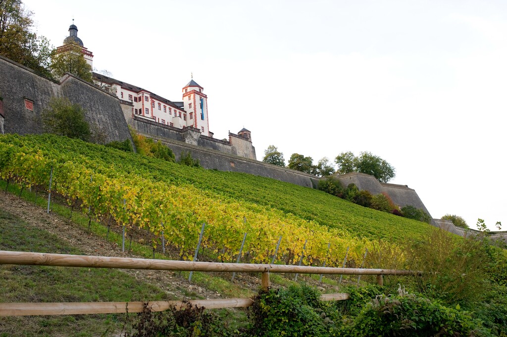 德国维尔茨堡玛丽恩贝格要塞(Festung   Marienberg)图片