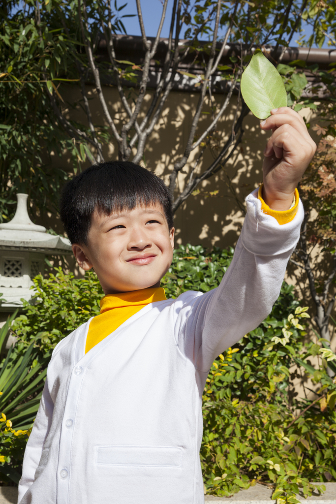 小男孩在院子里玩耍图片