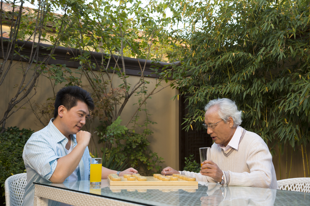 父子在院子里下棋