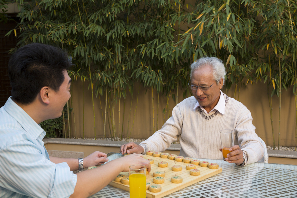 父子在院子里下棋图片