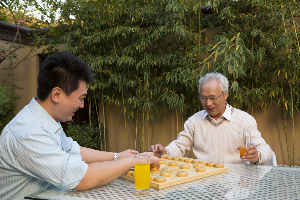 父子在院子里下棋图片