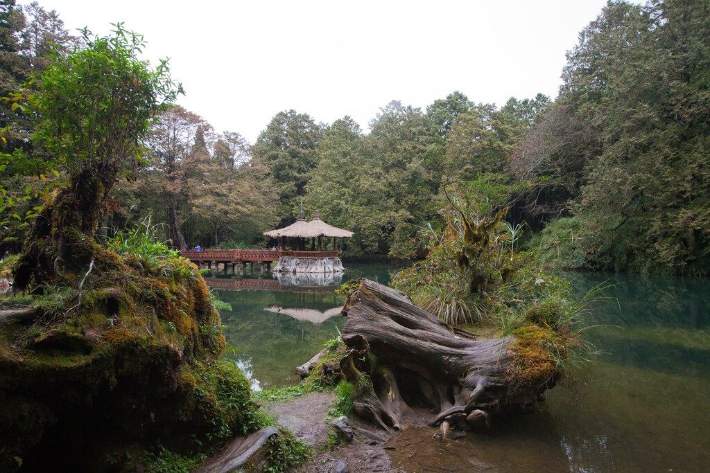 台湾 阿里山图片