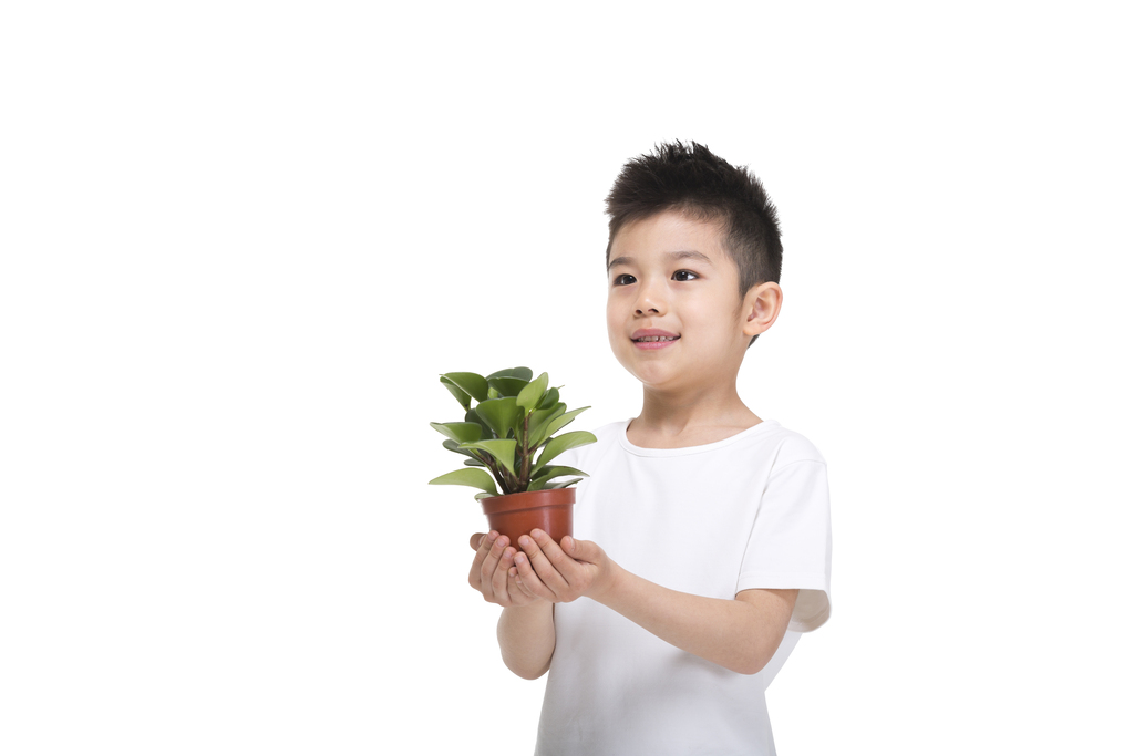 拿着绿色盆栽植物的小男孩图片