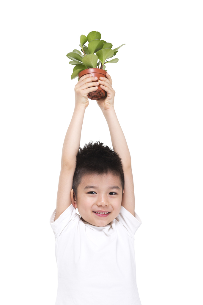 拿着绿色盆栽植物的小男孩图片