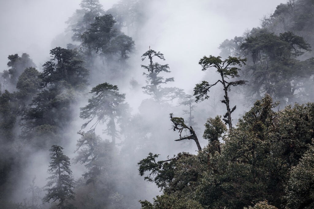 中国西南部山区风光