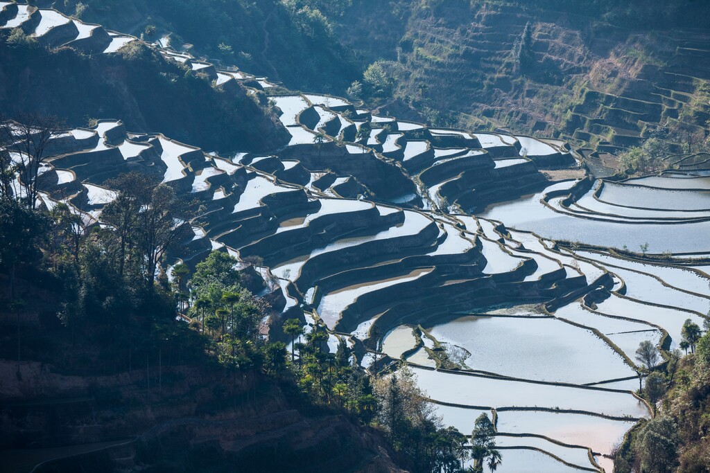 中国云南省万峰林梯田