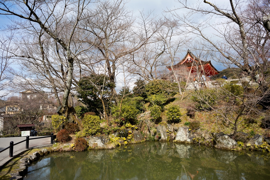 日本清水寺图片