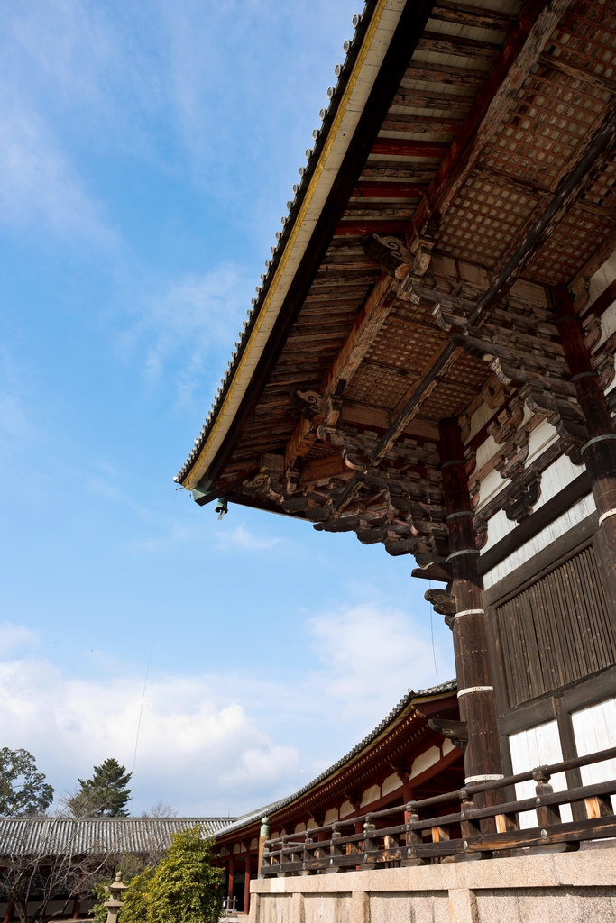 日本奈良东大寺图片