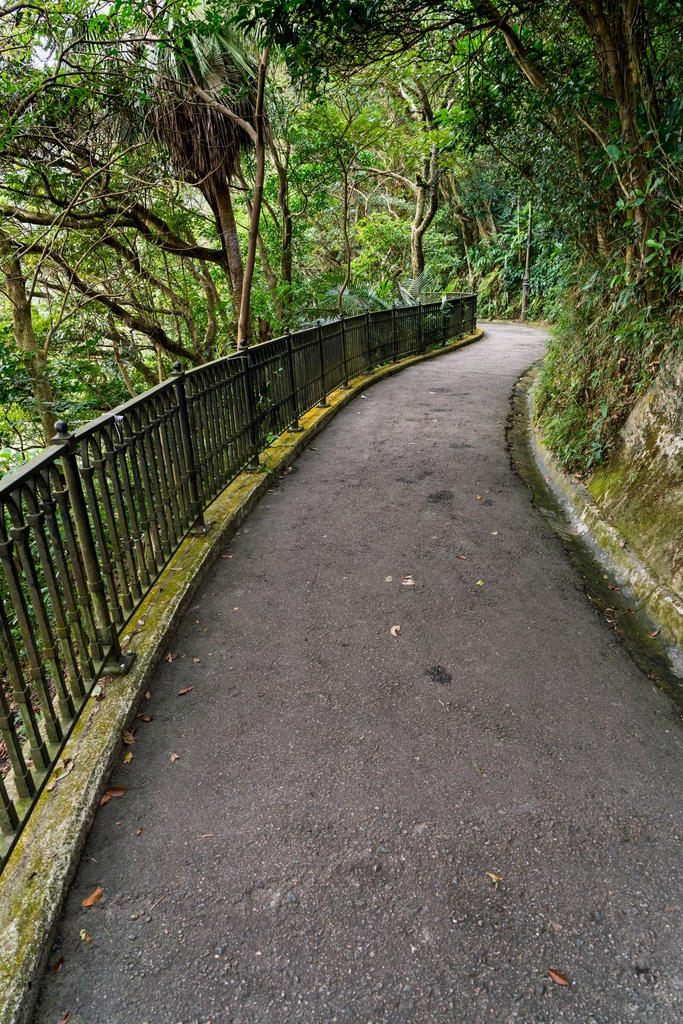 林间小路图片