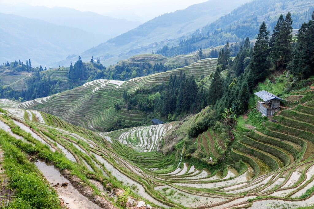 龙脊梯田