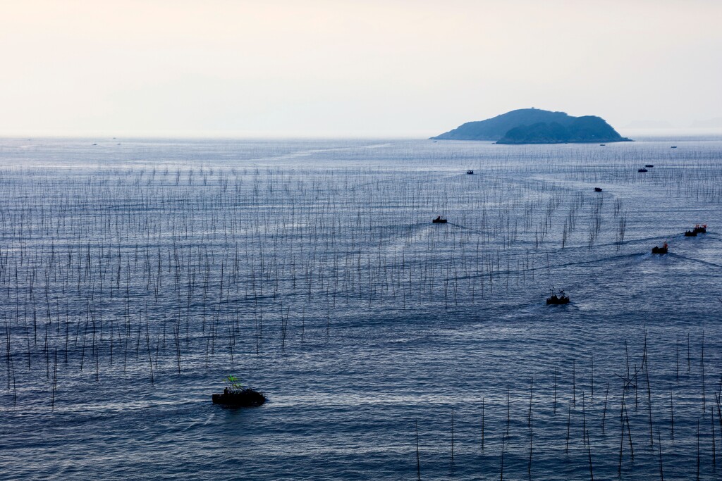 霞浦,福建省,中国的风景图片