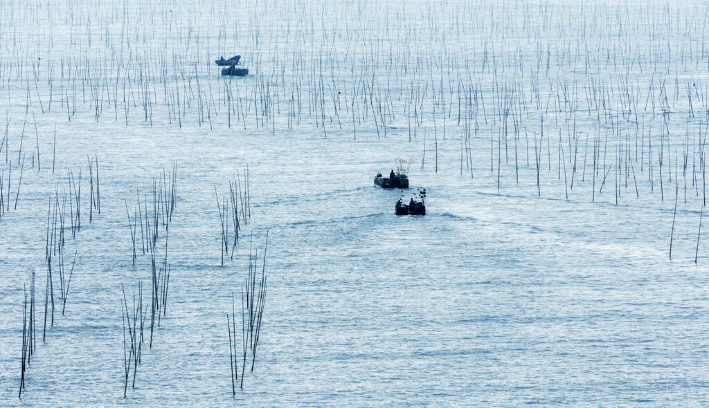 霞浦,福建省,中国的风景图片