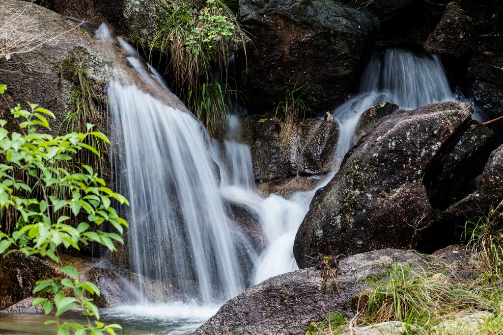 绩溪县龙川芦笋山图片