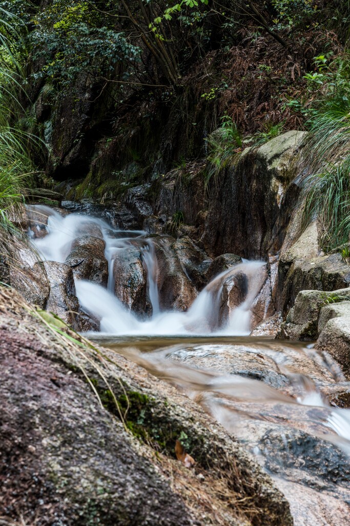 绩溪县龙川芦笋山图片