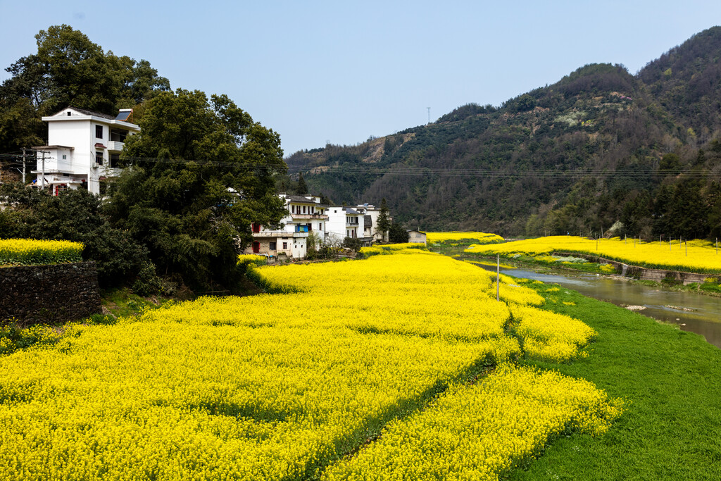 新安江山水画廊风景区图片