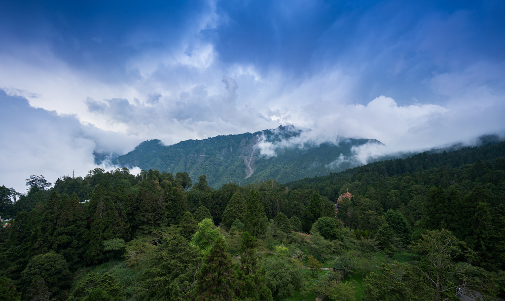 台湾阿里山