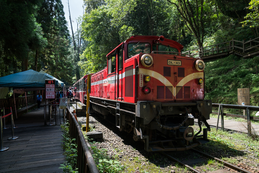 台湾阿里山小火车图片