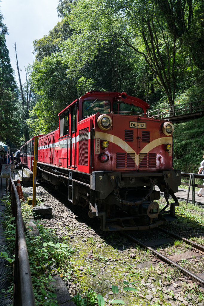 台湾阿里山小火车图片