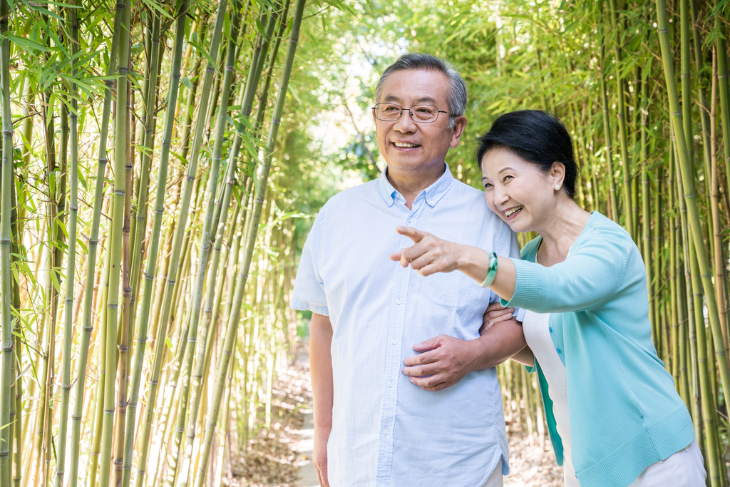 一对老夫妻在竹林散步