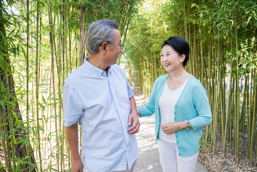 一对老夫妻在竹林散步