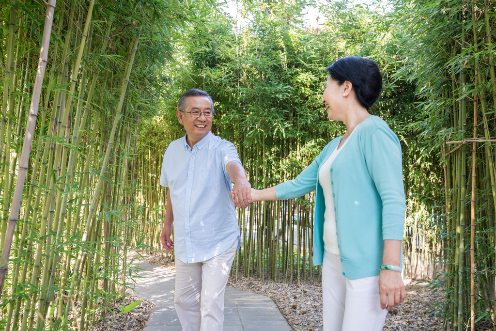 一对老夫妻在竹林散步