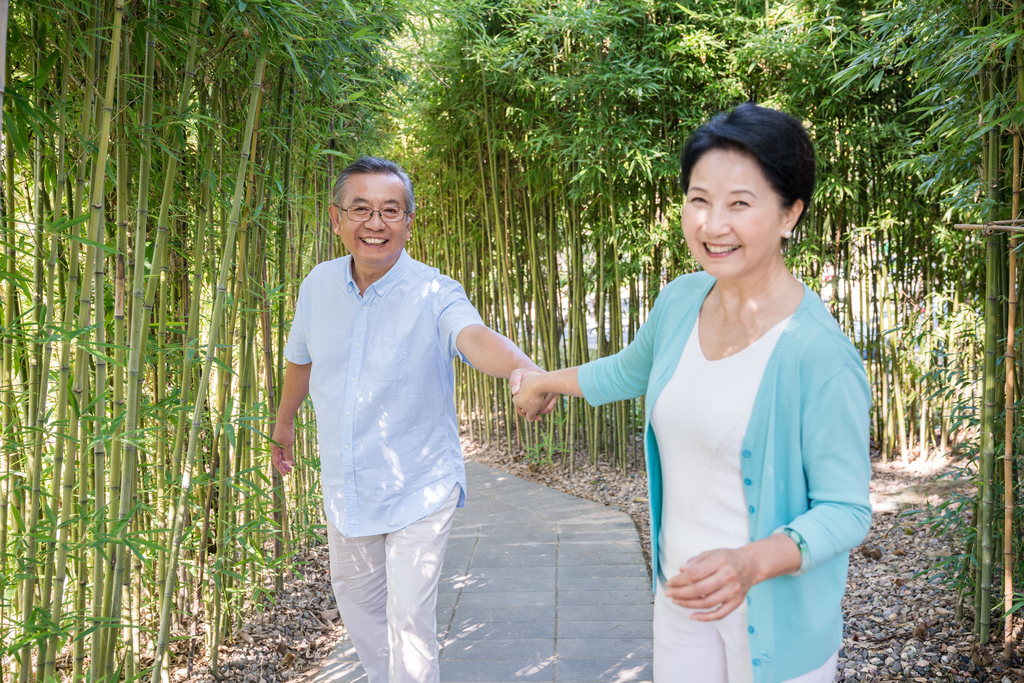 一对老夫妻在竹林散步图片