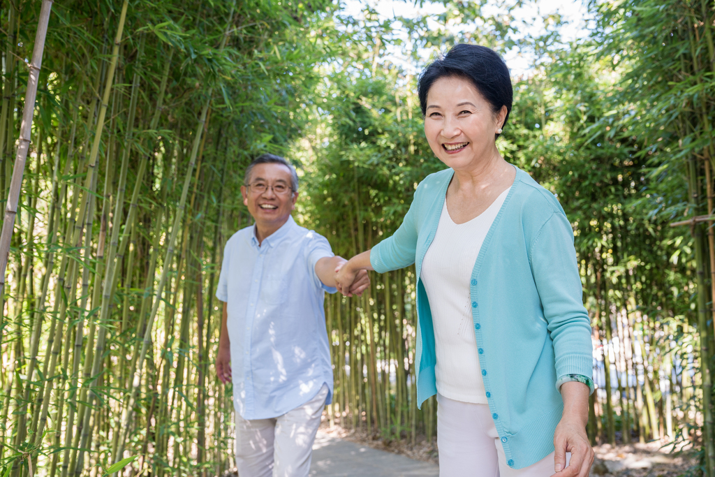 一对老夫妻在竹林散步