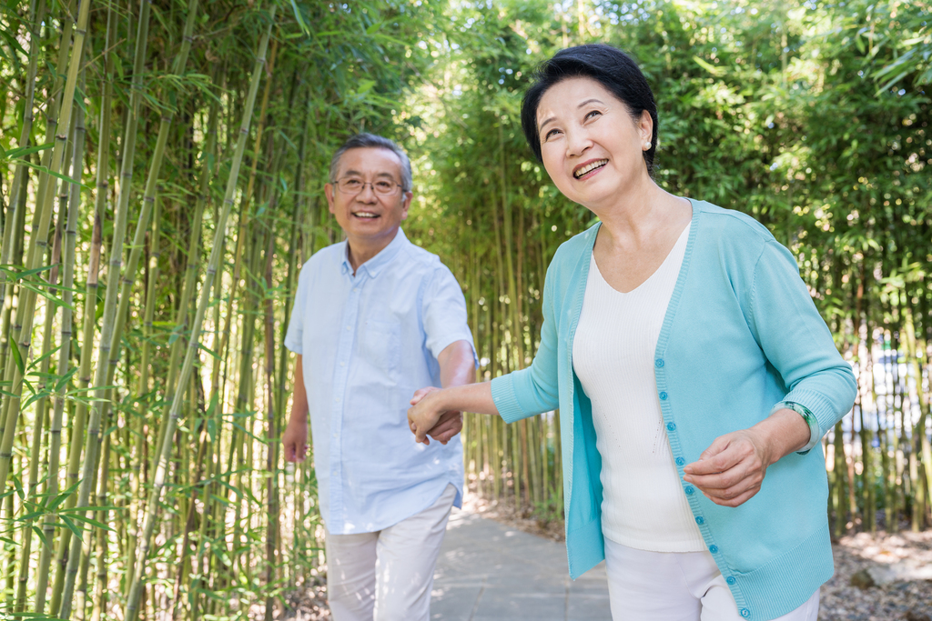 一对老夫妻在竹林散步