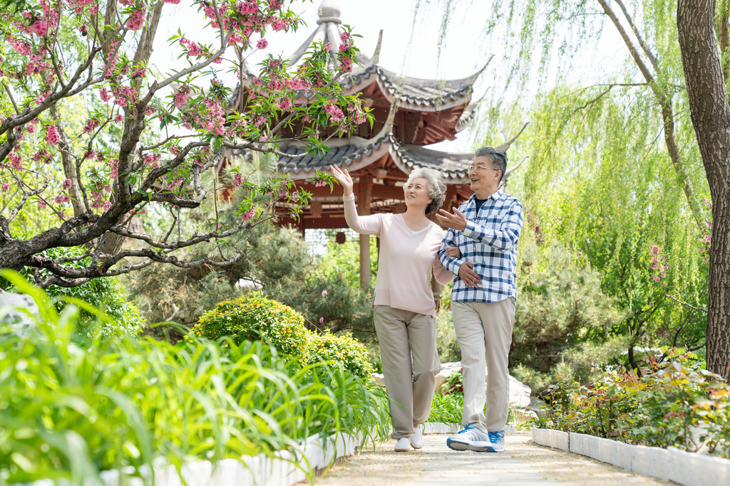 老年夫妻旅游图片