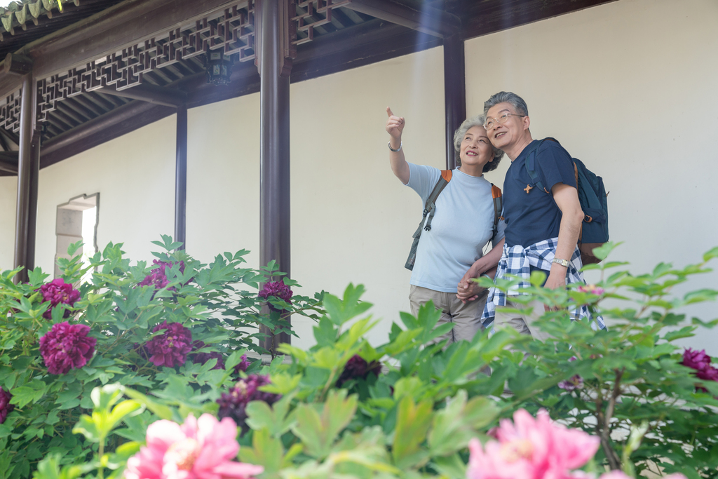 老年夫妻旅游图片