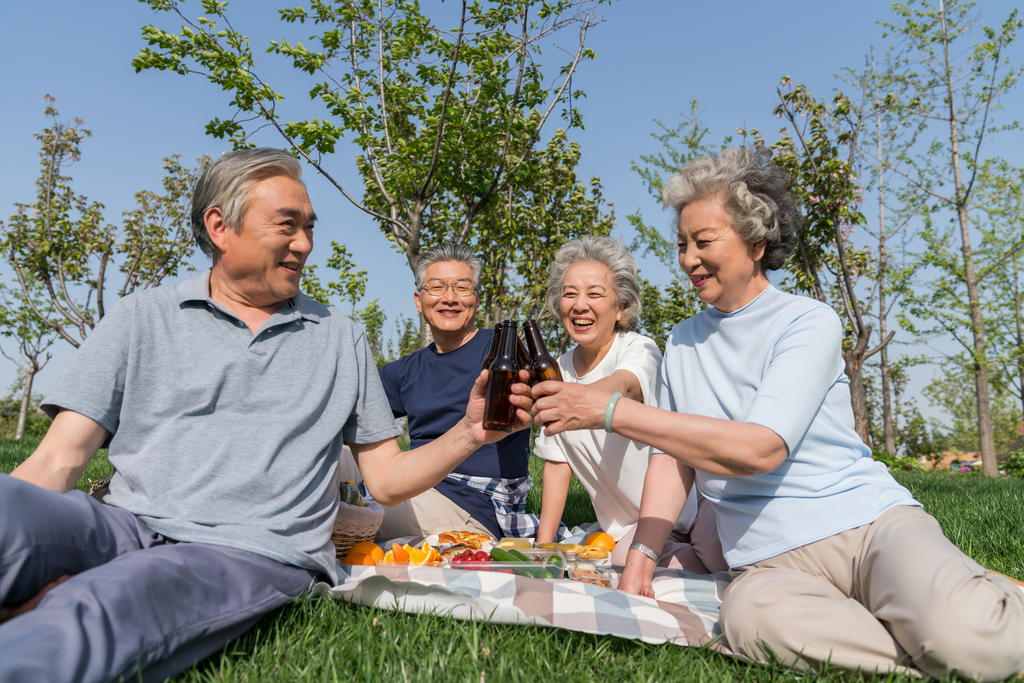 老年夫妻春游野餐