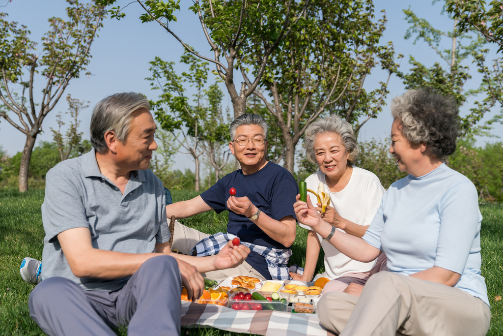 老年夫妻春游野餐图片