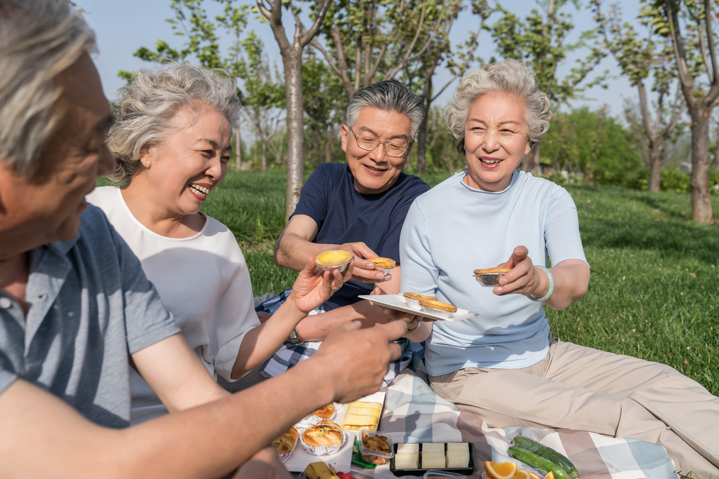 老年夫妻春游野餐图片