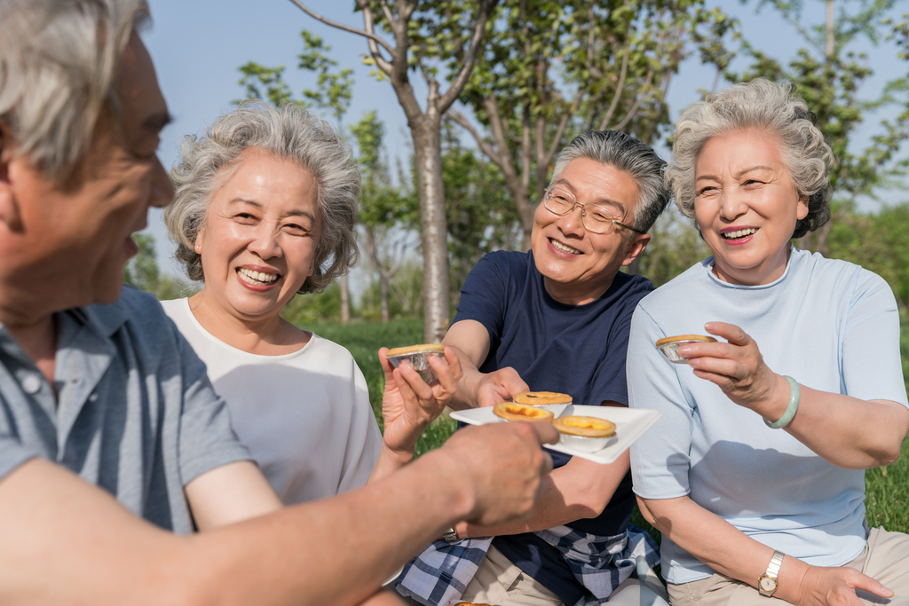 老年夫妻春游野餐