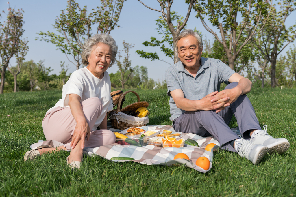 老年夫妻春游野餐