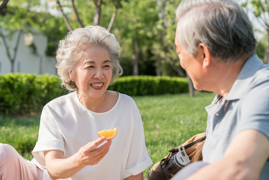 老年夫妻春游野餐