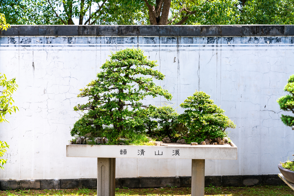 安徽歙县鲍家花园