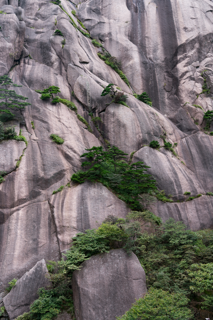 安徽黄山风光