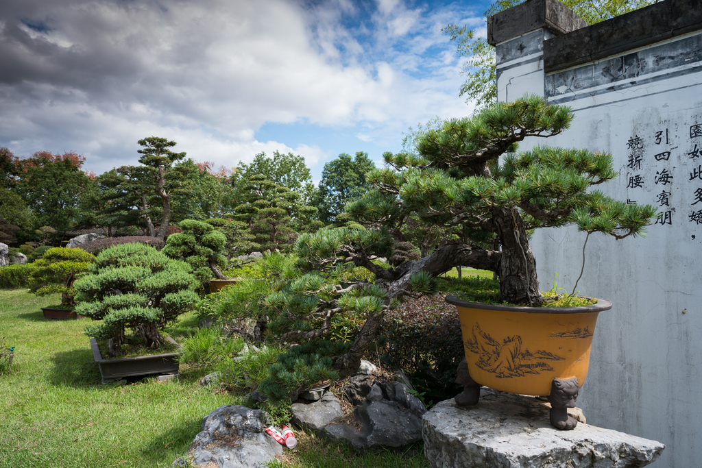 安徽歙县鲍家花园图片