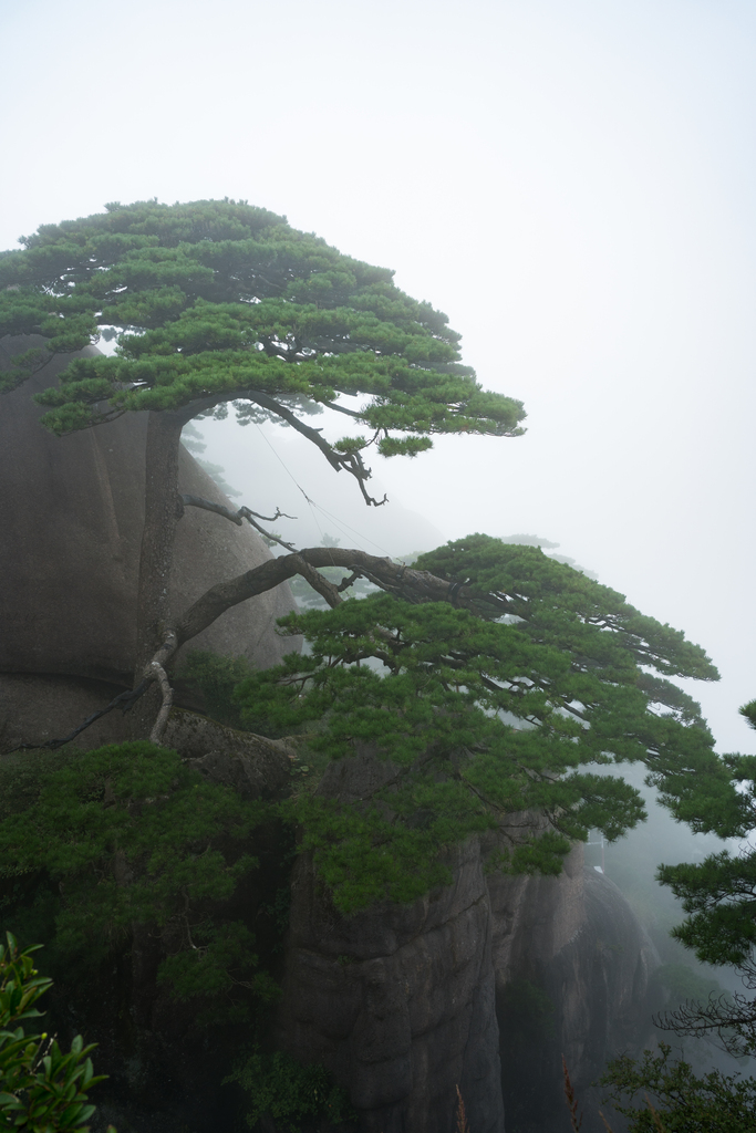 安徽黄山风光图片