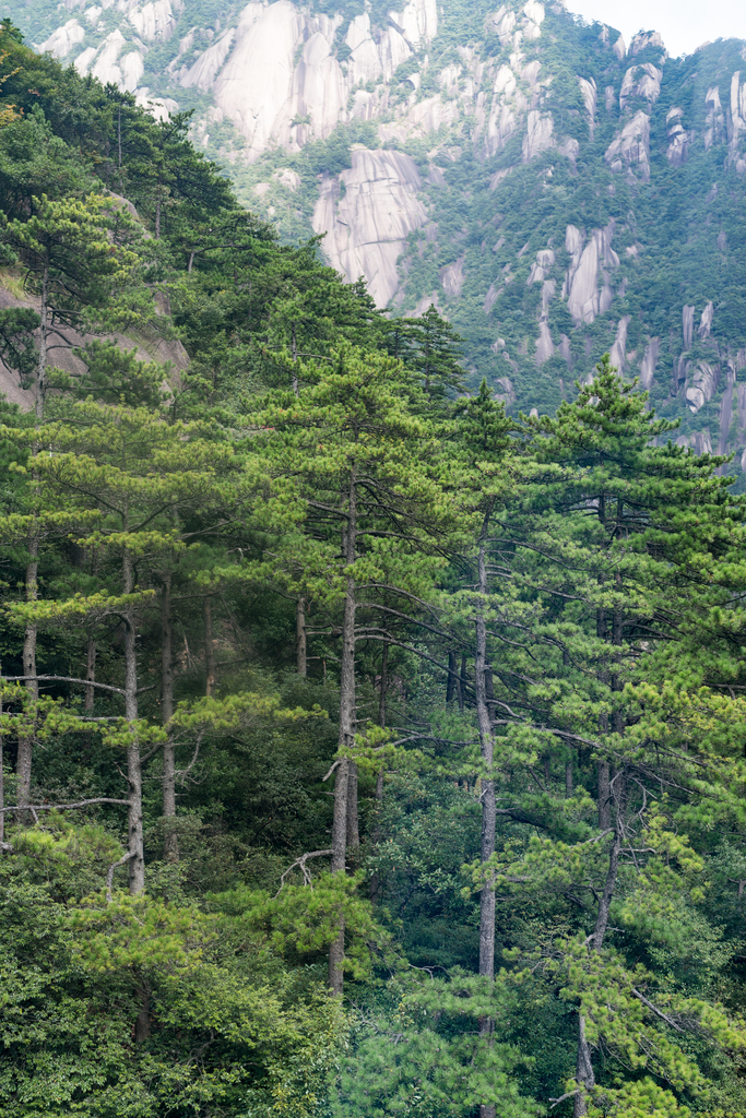 安徽黄山风光